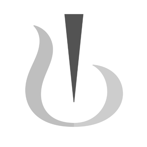 ScholarAI logo